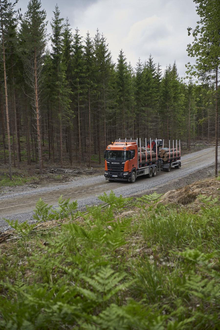  Scania R 580 XT 6x4 Highline Timber Truck 2017 года  (фото 6 из 8)